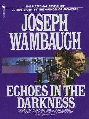 cover image of Echoes in the Darkness